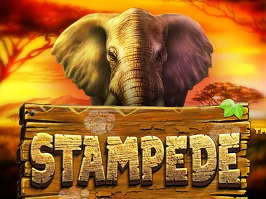 Stampede | StakeDuel